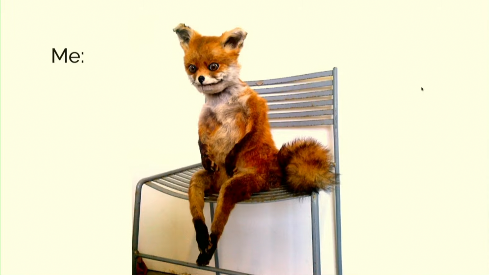 It all means nothing in the end (a talk by Amy Hupe)